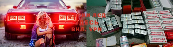 PSILOCYBIN Белоозёрский