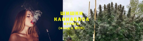 PSILOCYBIN Белоозёрский