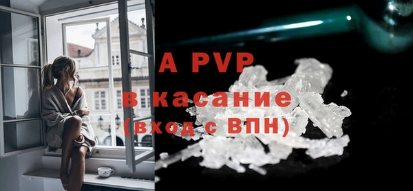 ECSTASY Бородино