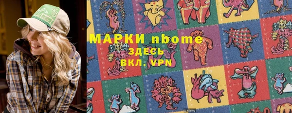 ECSTASY Бородино