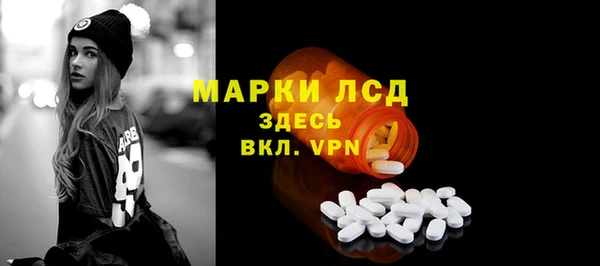 ECSTASY Бородино