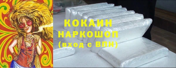 ECSTASY Бородино