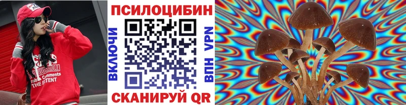 Купить где  Миллерово  Псилоцибиновые грибы Cubensis 